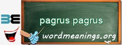WordMeaning blackboard for pagrus pagrus